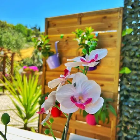 Bed & Breakfast A Casa Di Lele A Capalbio