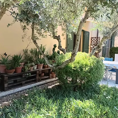 Bed and Breakfast A Casa Di Lele A Capalbio