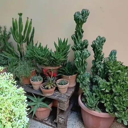 A Casa Di Lele A
