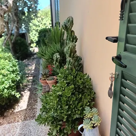 A Casa Di Lele A Bed and Breakfast