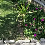 A Casa Di Lele A B&B