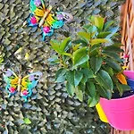 B&B A Casa Di Lele A 4*